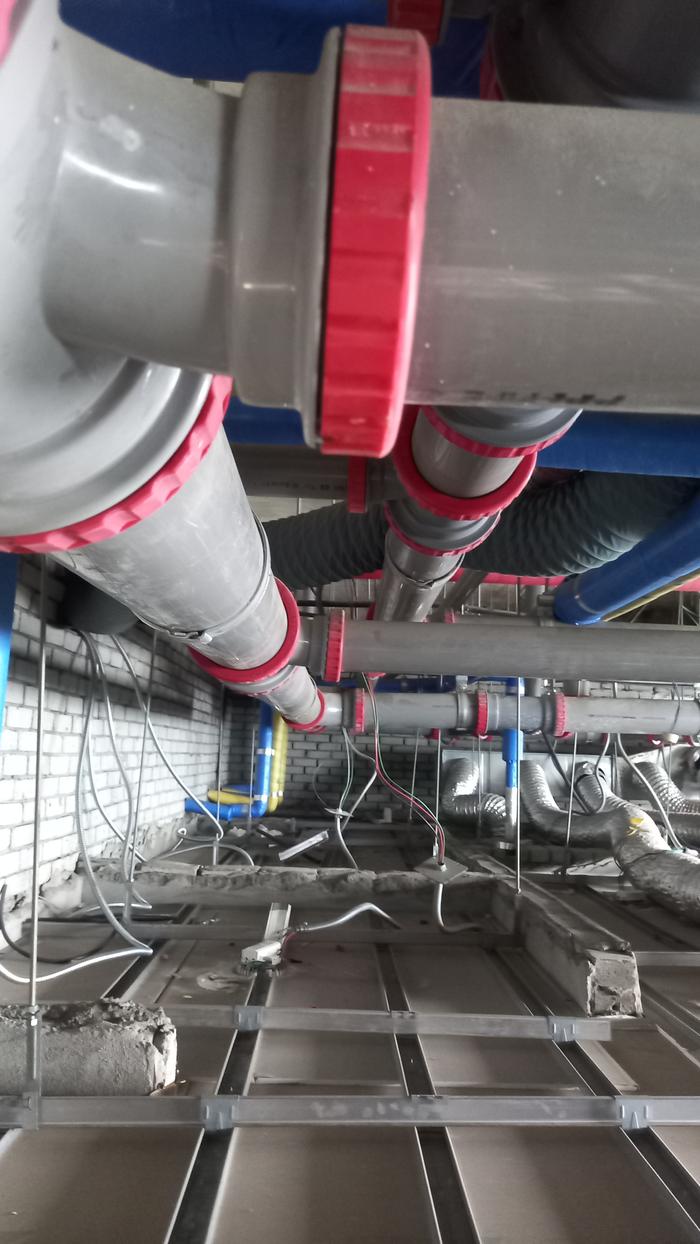 3695294320_XNE0Z6gx_45535704105a31c9bcdcacccd5d5df928155bbb1.jpg 이미지크게보기