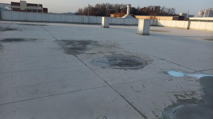 833513927_DiYkIbn0_64b4d7a54a3f19d760d392309d59dc8e908e65ff.jpg 이미지크게보기